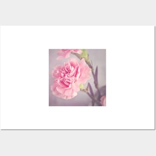 Pink Flowers Posters and Art